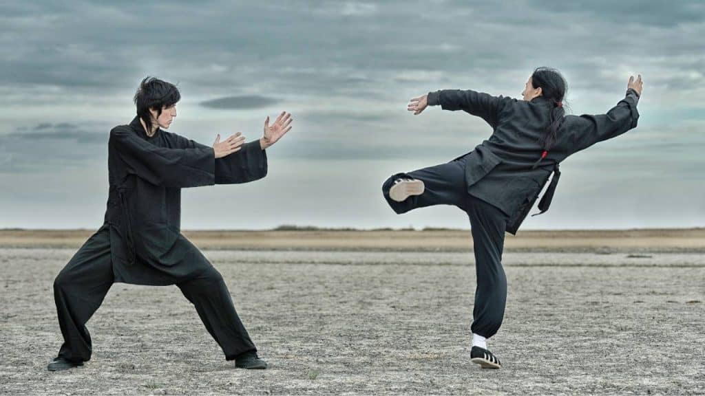 Kung Fu deadliest martial arts